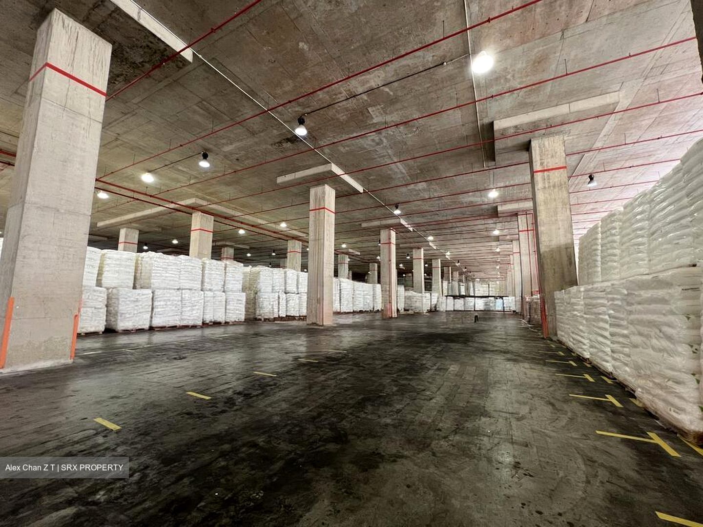 Thyssen Haniel Logistics Centre (D16), Warehouse #578705851